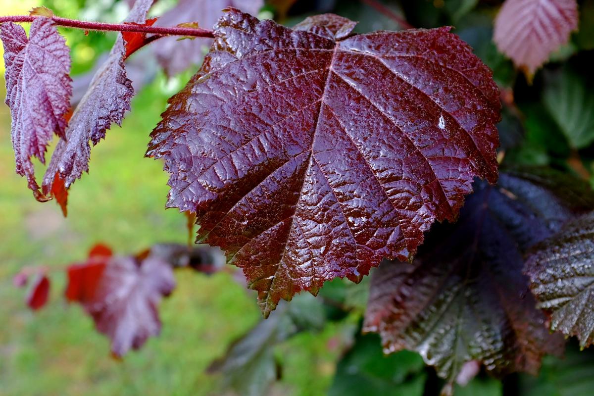 Ich habe es gerne etwas Feucht.