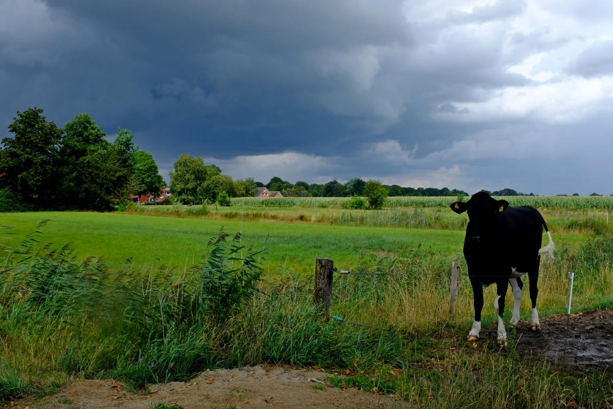 Es wird doch wohl kein Sturm kommen!